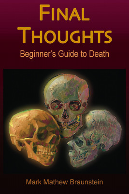 Final Thoughts by Mark Mathew Braunstein from Bookbaby in General Academics category