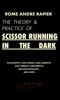The Theory & Practice of Scissor Running in the Dark by Rome Andre Rapier from Bookbaby in Language & Dictionary category