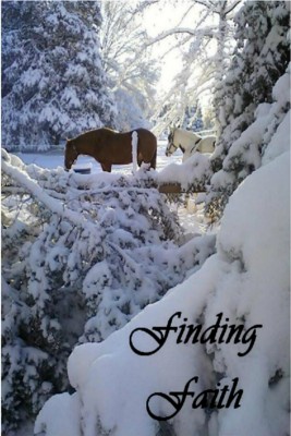 Finding Faith by J.M. Lloyd from Bookbaby in General Novel category