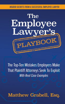 The Employee Lawyer's Playbook by Matthew Grabell from Bookbaby in Business & Management category