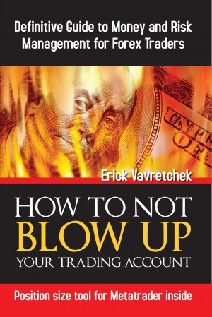 How To Not Blow Up Your Trading Account by Erick Vavretchek from Bookbaby in Business & Management category