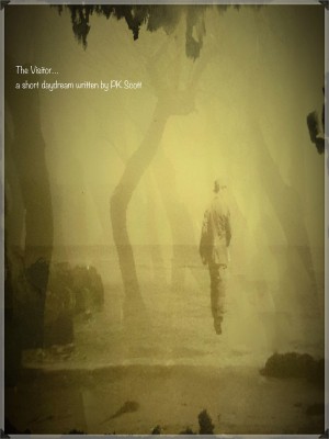 The Visitor by PK Scott from Bookbaby in General Novel category