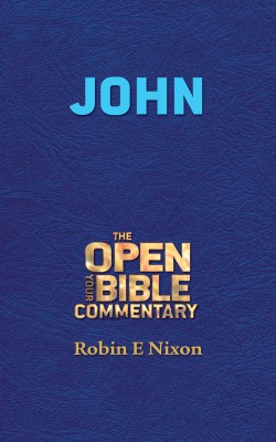 John by Robin E. Nixon from Bookbaby in Religion category