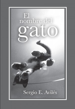 El nombre del gato by Sergio E. AvilÃ©s from Bookbaby in General Novel category