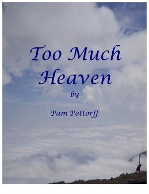 Too Much Heaven by Pam Pottorff from Bookbaby in Religion category