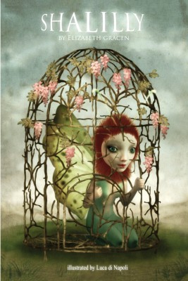 Shalilly by Elizabeth Gracen from Bookbaby in General Novel category