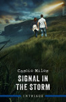 Signal In The Storm - text
