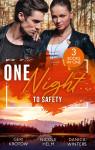 One Night...To Safety/The Pregnant Colton Witness/Wyoming Cowboy Sniper/Protective Operation - text