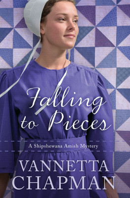 Falling to Pieces by Vannetta Chapman from HarperCollins Christian Publishing in General Novel category