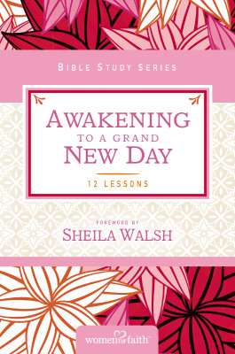Awakening to a Grand New Day by Margaret Feinberg from HarperCollins Christian Publishing in Religion category