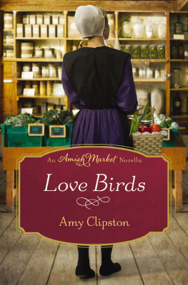 Love Birds by Amy Clipston from HarperCollins Christian Publishing in General Novel category