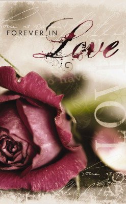 Forever in Love by Thomas Nelson from HarperCollins Christian Publishing in Religion category