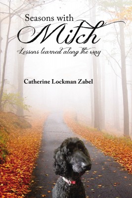 Seasons With Mitch by Catherine  Lockman Zabel from HarperCollins Christian Publishing in Pet category