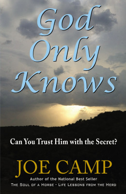 God Only Knows by Joe Camp from HarperCollins Christian Publishing in Autobiography,Biography & Memoirs category