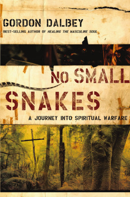 No Small Snakes by Gordon Dalbey from HarperCollins Christian Publishing in Religion category
