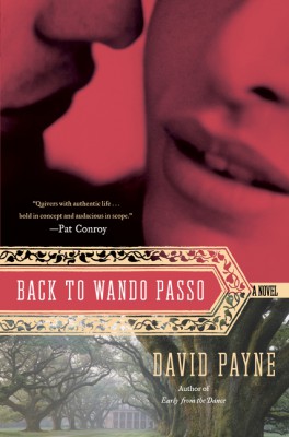Back to Wando Passo by David Payne from HarperCollins Publishers LLC (US) in General Novel category