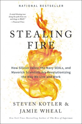 Stealing Fire by Jamie Wheal from HarperCollins Publishers LLC (US) in Science category