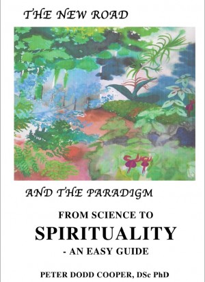 The New Road: and the Paradigm. by Peter Dodd Cooper, DSc, PhD from Inspiring Publishers in General Novel category