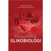 Prinsip-Prinsip Glikobiologi - text