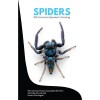 Spiders: 100 Common Species in Penang - text