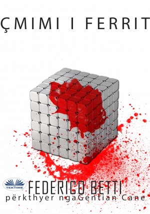 Çmimi I Ferrit by Federico Betti from Tektime s.r.l.s. in General Novel category