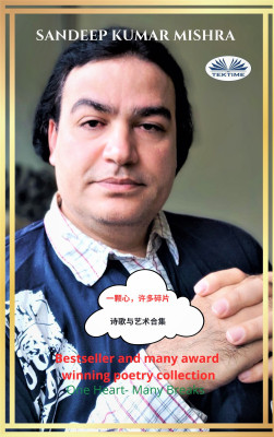 一颗心，许多碎片 by Sandeep Kumar Mishra from Tektime s.r.l.s. in Autobiography,Biography & Memoirs category