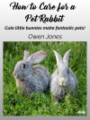 How To Care For A Pet Rabbit-Cute Little Bunnies Make Fantastic Pets! by Owen Jones from  in  category