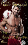 The Secret Santa by Pablo Michaels from  in  category
