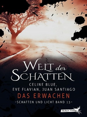 Schatten und Licht 13 by Juan Santiago from XinXii - GD Publishing Ltd. & Co. KG in General Novel category